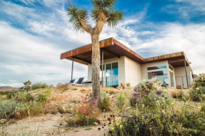 Solis Joshua Tree Urban Design Casita and Cowboy Pool
